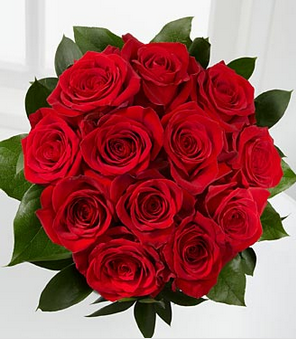 Roses Chocolate Teddy Bear Special